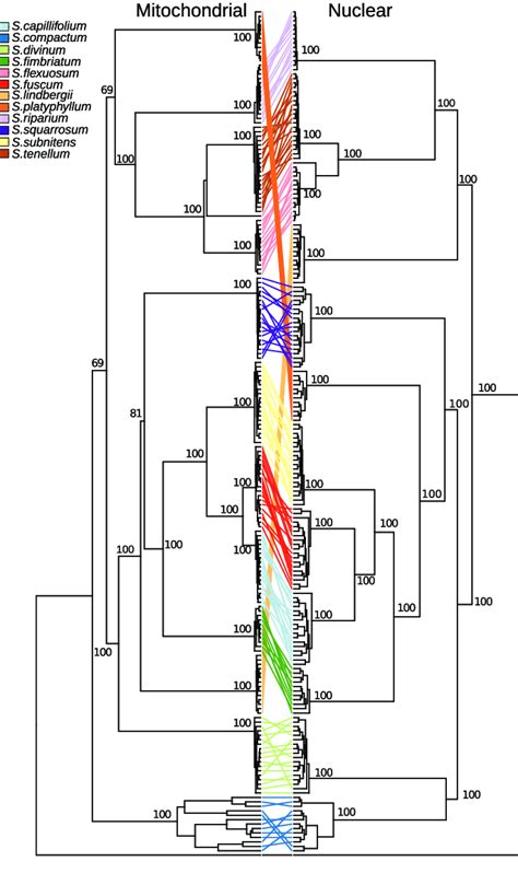 Phylogenetic relationships among the species inferred using ... 