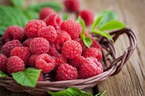 Fresh Organic Raspberries Pint Florida Fields To Forks