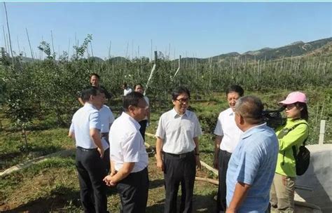 農業部來我市督導蘋果有機肥替代化肥試點項目建設情況 每日頭條