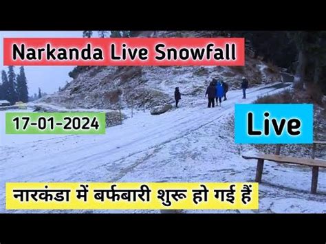 Narkanda Live Snowfall Today Narkanda Snowfall Update