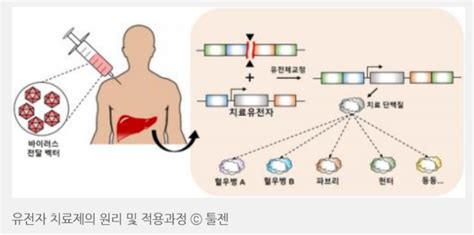 유전자가위 그게 뭐야 네이버 블로그