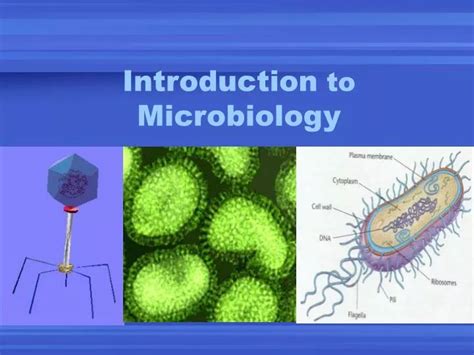 Microbiology Powerpoint Templates