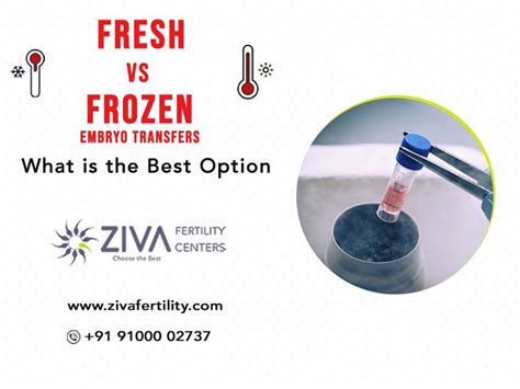 Fresh Vs Frozen Embryo Transfers What Is The Best Option Ziva