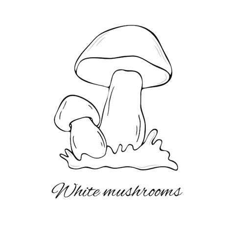 Premium Vector White Mushroom Hand Drawn Vector Illustration Hand