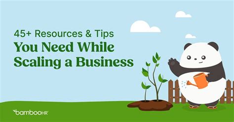 45+ Resources and Tips You Need While Scaling a Business 