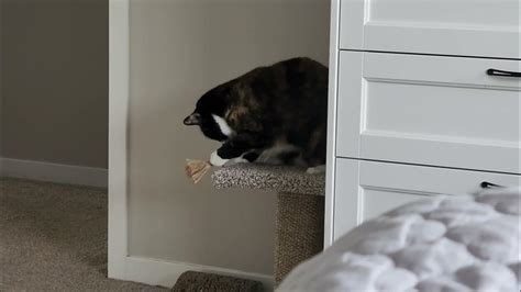 🔴СБОРНАЯ СОЛЯНКА 🔴ГОТОВИМСЯ К ПЕРЕЕЗДУ, СДАЛА ЭКЗАМЕНЫ - YouTube