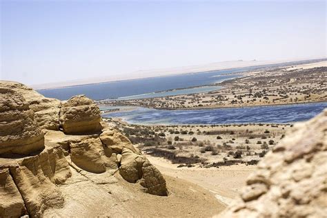 Valley Of The Whales Tour Wadi El Hitan Deluxe Travel Egypt