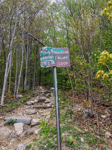 Artists Bluff Trail Franconia Notch State Park Hiking For Donuts