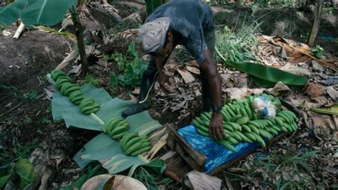 Posséder la terre posséder les êtres Maîtres et esclaves aux Antilles