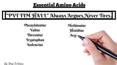 Trick To Memorise Essential Amino Acids Youtube