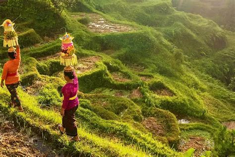 Ini Rekomendasi Tempat Wisata Favorit Di Ubud Bali Yang Lokasinya