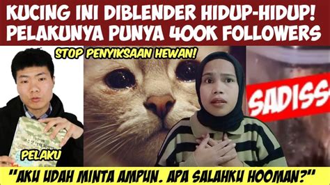 TEGA Kucing Ini DIBL3ND3R Hidup Hidup Stop Penyiksaan Terhadap Hewan