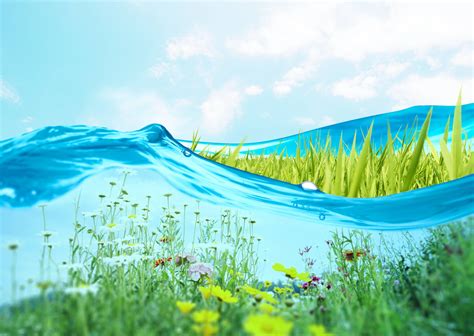 Wallpaper Field Abstract Flowers Grass Water 2950x2094 Wallhaven 1038378 Hd