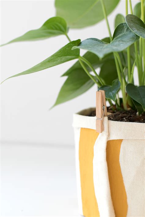 Diy No Sew Plant Wrap For All Your Naked Pots Ctrl Curate