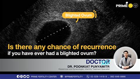 Is There Any Chance Of Recurrence If You Have Ever Had A Blighted Ovum