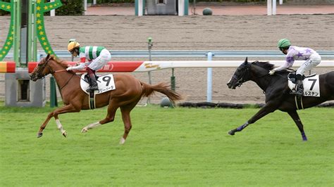 【2歳新馬・小倉6r】gi馬シンハライトの半妹スリーパーダが快勝｜競馬ニュース｜競馬予想のウマニティ