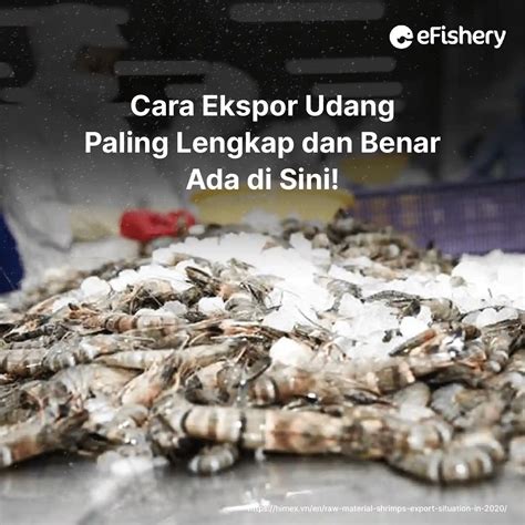 Cara Ekspor Udang Paling Lengkap Dan Benar Ada Di Sini