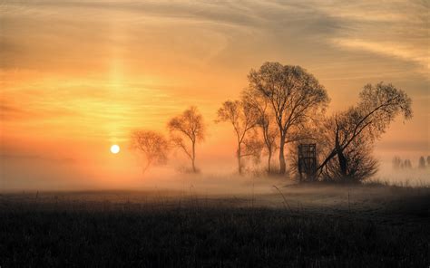 Sunlight Trees Landscape Sunset Nature Grass Sky Field Clouds