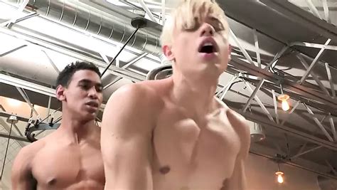 Alam Wernik Gay Porn Videos Porn Star Sex Scenes XHamster