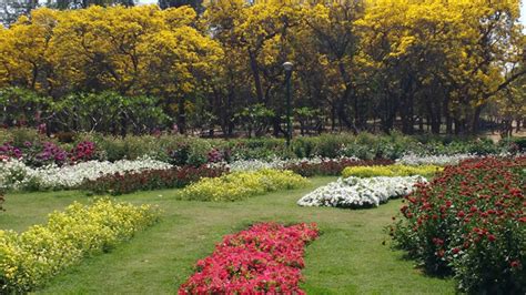 Delhis Nehru Park Is All Set For A Facelift So Delhi