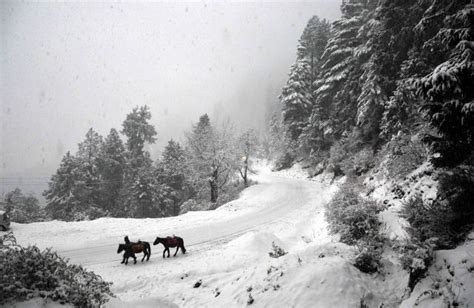 Snowfall At Manali Kufri Narkanda Shimla Hill Post