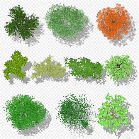 植物平面平面树psd图片素材免费下载 觅知网