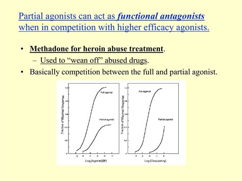 Receptor Theory For Lecture Ppt