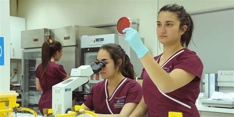 Malla Curricular Carrera de Tecnología Médica Santiago UDD