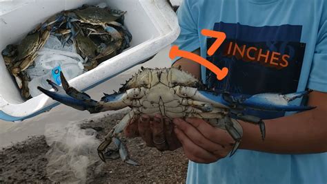 Good Blue Crabbing On The Texas Coast Biggest One Yet Youtube