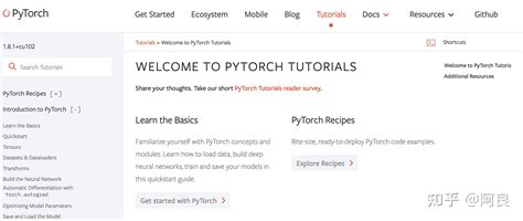有python功底的初学者学习pytorch，有什么书或者教程可以推荐吗？ - 知乎