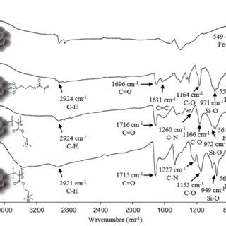 FTIR Spectra Of A Bare MNPs B MA Coated MNPs C PDMAEMA MNPs