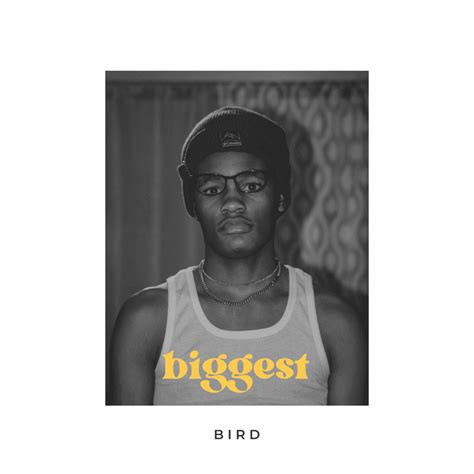 Samiarwasnottaken Biggest Bird Lyrics Genius Lyrics