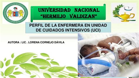 Perfil De Una Enfermera De La Uci Nurse Moon Udocz