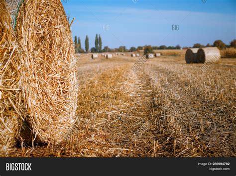 Hay Bail Harvesting Image & Photo (Free Trial) | Bigstock