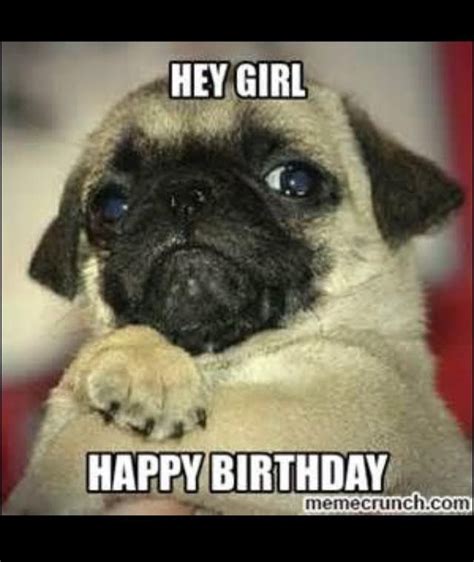 Happy Birthday Memes Funny Pug