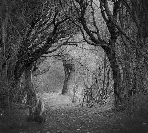 The Classic Horror Scene... | Black and white landscape, Landscape photography, Landscape photos