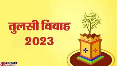 Tulsi Vivah 2023 Date Shubh Muhrat Puja Vidhi Is Sal Tulsi Vivah Kab Hai In Hindi Amar Ujala