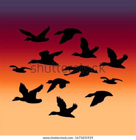 Geese Flying Sunset Landscape Stock Vector (Royalty Free) 1675835929 | Shutterstock