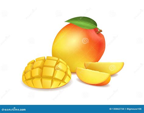 Realistic Detailed D Whole Mango And Sliced Vector Stock Vector