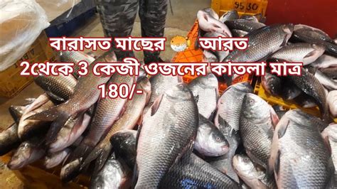 বারাসাত মাছের 🐡 বাজার 🛒 । বরো সাইজের কাতলা 180 Kg 2024 Youtube