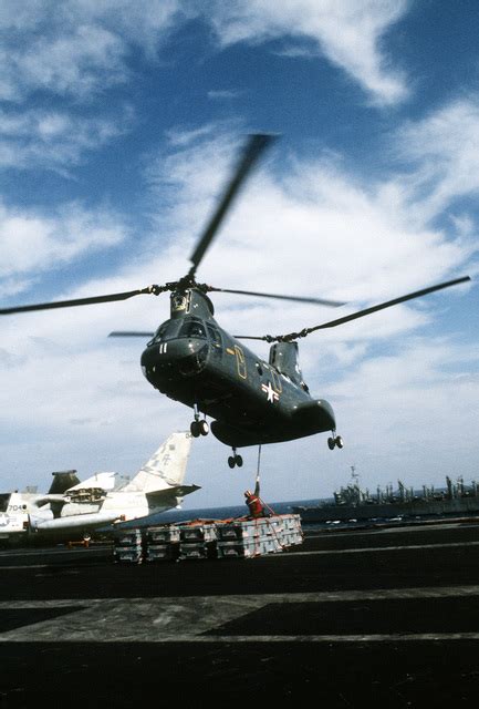 A Helicopter Combat Support Squadron Hc Ch D Sea Knight