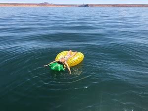 Nina Dobrev Page Free Porn Adult Videos Forum