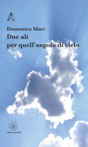 Due Ali Per Quell Angolo Di Cielo Libro Mari Domenico Aracne