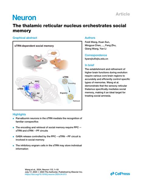 Pdf The Thalamic Reticular Nucleus Orchestrates Social Memory