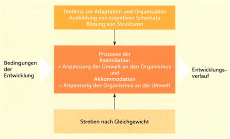 Entwicklungspsychologie Karteikarten Quizlet