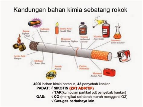 Bahaya Narkoba Dan Rokok