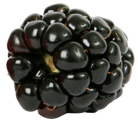 Blackberry PNG Transparent Blackberry PNG Images PlusPNG