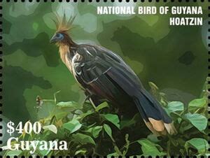 Stamp: National Bird of Guyana - Hoatzin (Guyana(50th of Diplomatic ...