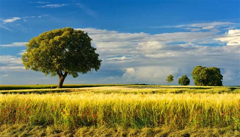 L Ue vuole restituire un milione di ettari per la biodiversità