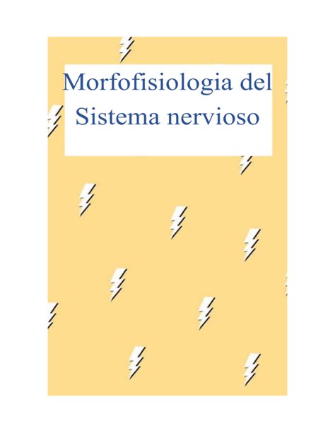 Morfofisiologia Del Sistema Nervioso